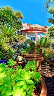 Appartements avec jardin dans Villa Rocaille - Cassis - 9