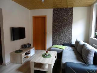 Wohnung In Ilfeld Mit Grill Und Garten - Harztor - 0
