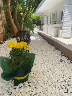 Wait n' Sea - Atene - 1