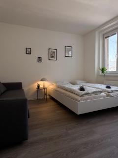 Nova Apartments - Brno - 4