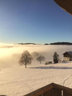 Ferienwohnung Im Bayerischen Wald Inkl, Aktivcard - Hilm - 5