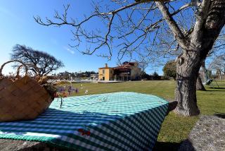 Ferienhaus Für 12 Personen In Esposende - Esposende - 2