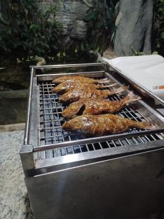 Bundala Ruhunumaya Green villa - 6