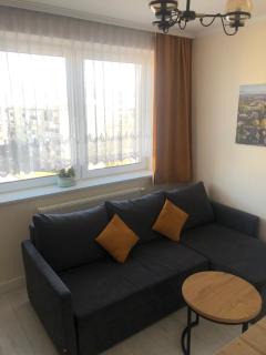 Apartamenty MAJA Nowy Targ - Nowy Targ - 8