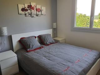 Grand T2 tout confort au calme avec terrasse - Lagarrigue - 5