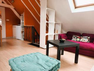 Les Toits de Grecourt - gare - wifi - centre-ville - Tours - 3