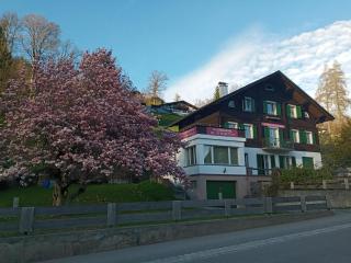 Villa Rosengarten - Schruns - 8