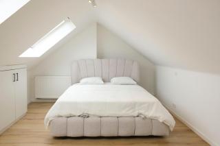 Blu shell house - Bruxelles - 4