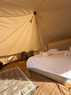 Rotana Golden sand - 8