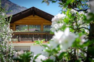 Moosbichlerhof - Marling - 7