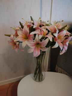 Spacious apartment with balcony and free WiFi - 3