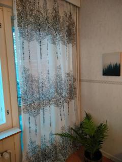 Spacious apartment with balcony and free WiFi - 1