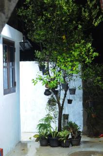 Manuja villa - Weligama - 3