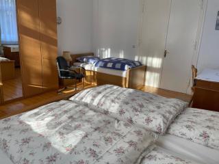 Schröders Hasselhoff - 3