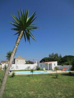 Ferienhaus In Coimbrão Mit Eigenem Pool - Coimbrão - 7