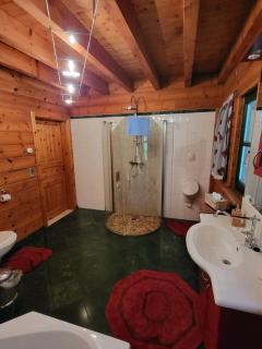 Falkenstein Hütten Haus Waldluft - 7