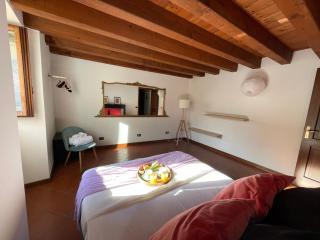 Scaligeri house - Verona - 9
