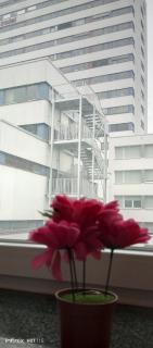 Eva Zimmer mit Gemeinschaftsküche Heilbronn Zentrum - Heilbronn - 8
