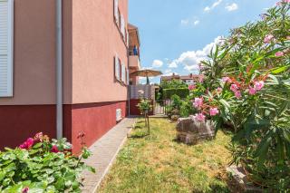 Ferienwohnung für 4 Personen ca 45 m in Dajla, Istrien Istrische Riviera - a88078 - Dajla - 5