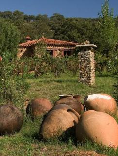 Schönes Steinhaus El Buho - Alájar - 0
