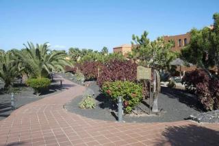 Appartement In Corralejo Mit Garten Und Terrasse - Corralejo - 6