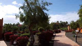 Appartement In Corralejo Mit Garten Und Terrasse - Corralejo - 4
