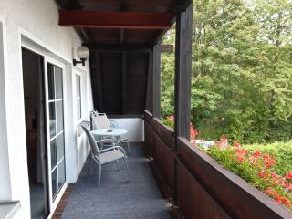 Ferienwohnungen Stricker, Typ B, Balkon - Walkenried - 2
