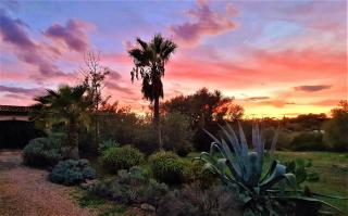 Finca Bona Sort - Capdepera - 7