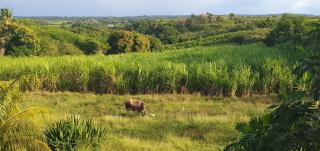 Appartement de type T4 - 1