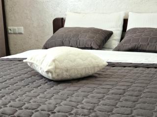 Luxury apart - Ivano-Frankivsʼk - 9