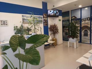 Hostel de las Facultades - Santander - 2