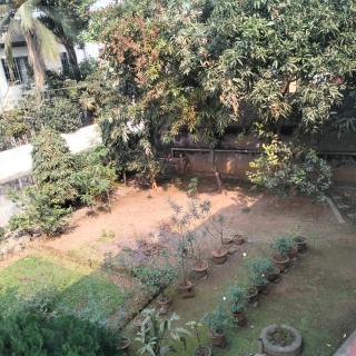 The BIRD Nest - Guwahati - 3