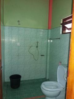 Wellassa holly day in - 8