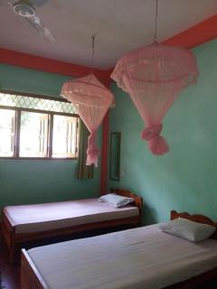 Wellassa holly day in - 3