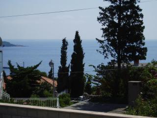 Appartement Lidija Mit Terrasse Und Meerblick - Dubrovnik - 3