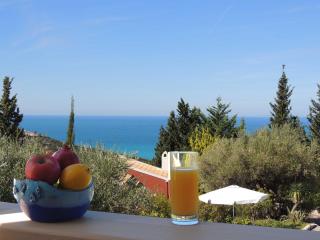 Wohnung Mit Gemeinsamem Großen Pool Und Kinderbecken - Ayios Nikitas - 4