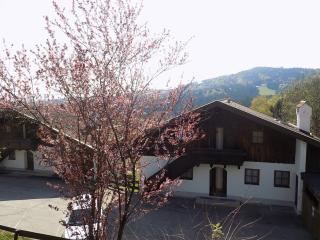 Appartement In Raßreuth Mit Gemeinsamem Pool - Hauzenberg - 2
