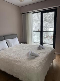 likani residence apartment - Bordzjomi - 0