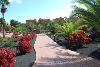 Ferienwohnung In Corralejo Mit Großer Terrasse - Corralejo - 7