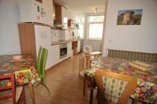 Große Und Moderne Ferienwohnung Im Erdgeschoss - Braunlage - 0