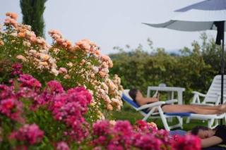 Ferienappartement Mit Garten Und Panoramablick - San Gimignano - 1