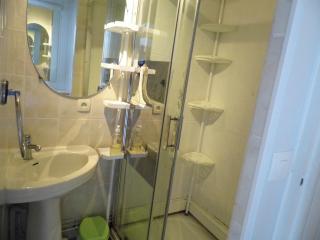 le petit marais n1 - Nouan-le-Fuzelier - 4
