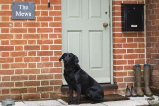 Burley Mews - Burley - 5