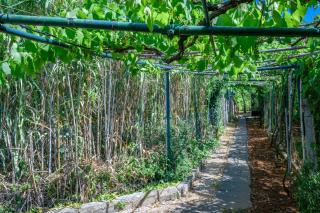Wunderschönes Ferienhaus In Pomer Mit Garten - Pula - 8