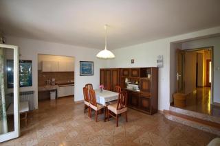 Ferienwohnung Keti in der Nähe von Zelena laguna - Poreč - 8