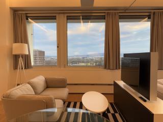 Luxury City Apartment with Skyline View - Vienne - 4