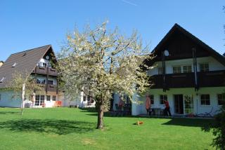 Charmante Ferienwohnung In Walkenried - Walkenried - 2