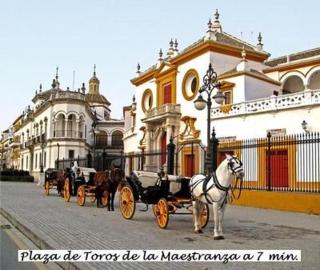 Wohnung Mit Terrasse, Nähe Kathedrale Von Sevilla - 1