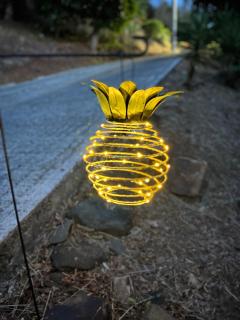 Pineapple Seaclusion - St Thomas - 6