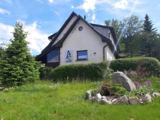 Ferienwohnung In Carlsfeld Mit Garten, Terrasse Und Grill - Eibenstock - 0